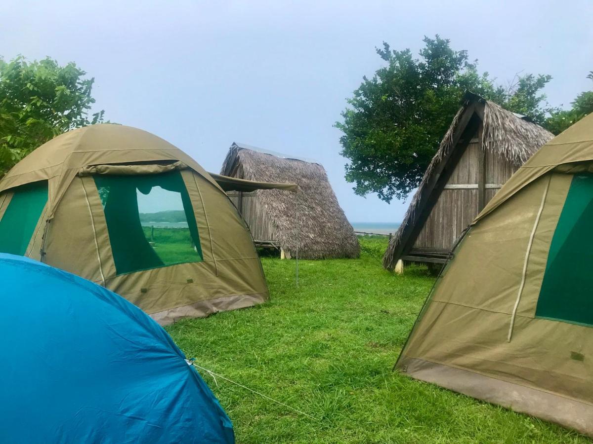 Corto Novo Maison D'Hotes-Camping نوسي بي المظهر الخارجي الصورة